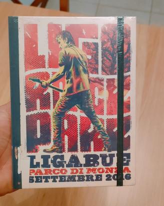 CD di Ligabue