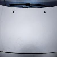 PEUGEOT 308 STATION WAGON 2009 - COFANO ANTERIORE