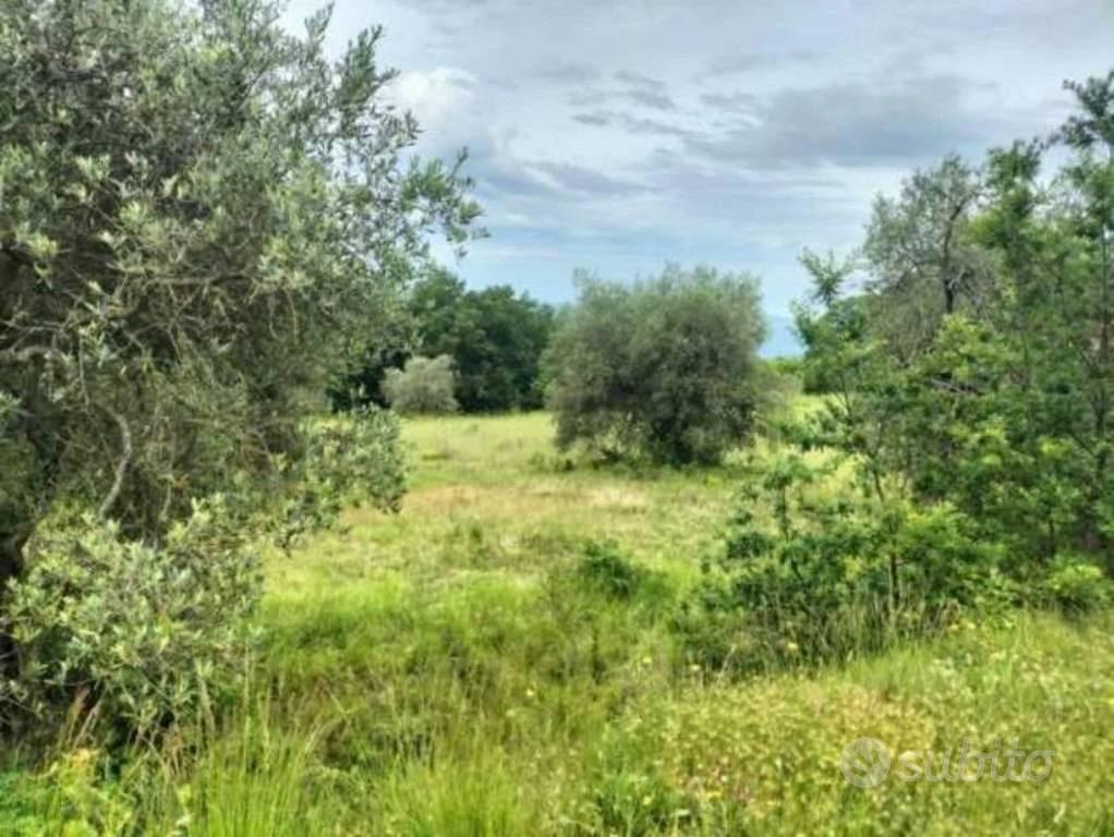 Immobile in asta di 23396 m² a Ficulle - Vista 5