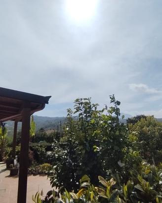 Villa Singola con 1.000 mq di Spazio Esterno