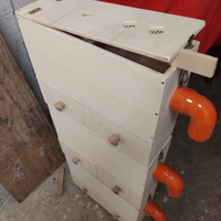 Soffiasemi e nidi Inseparabili e cocorite