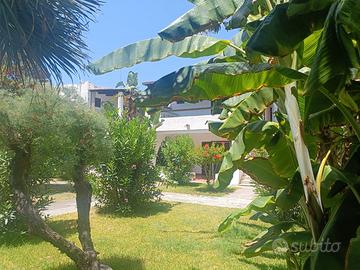 Delizioso monolocale a Vulcano Porto