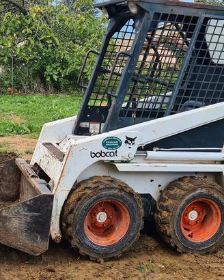 minipala bobcat 443