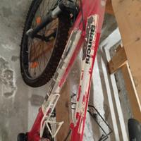Biciclette taglia xs