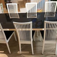 Tavolo + 6 sedie Calligaris