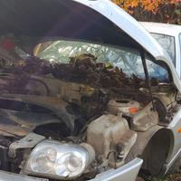 Alfa Romeo Gtv e Spider 916 Ricambi