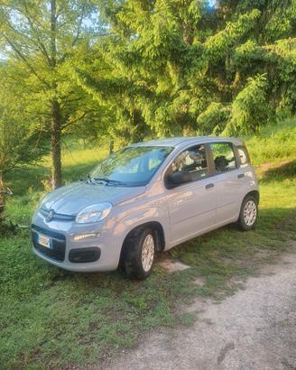 FIAT PANDA  02-2018