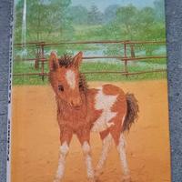 Le avventure del piccolo pony, Amrei Fechner.