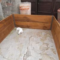 mangiatoia per cavalli e bovini capre pecore