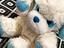 Immagine 3