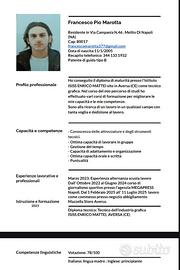 Esperienza Lavorativa