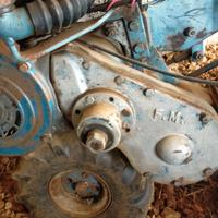 motozappa  sarchiatrice Minarelli 