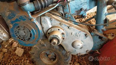 motozappa  sarchiatrice Minarelli 