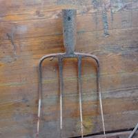 Attrezzi da giardino vecchi.