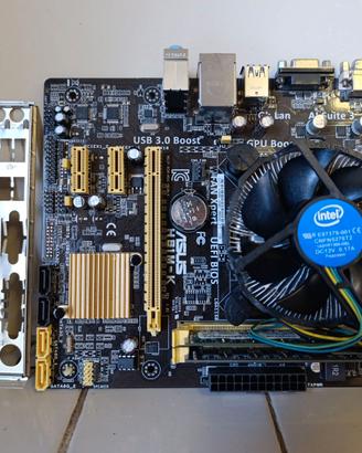 Asus H81M-K con Intel G3260 3.30Ghz e 12GB DDr3