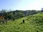 Immagine 29