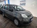 fiat-panda-fiat-panda-longe-1-2-gpl