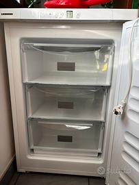 Congelatore Liebher verticale Gp 1213