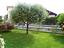 Immagine 9
