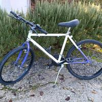 bicicletta mountainbike 24