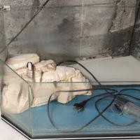 Acquario per tartarughe in vetro 28 x 52 x 30