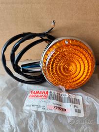 FRECCIA INDICATORE DIREZIONE POSTERIORE ORIGINALE 