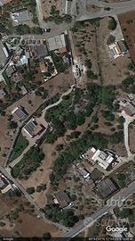 TERRENO AGRICOLO 8203 mq