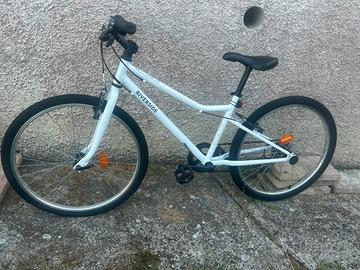 Bici Riverside 100 20”