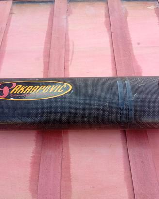 Akrapovic