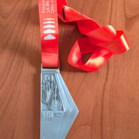 Medaglia ufficiale Copenhagen Half Marathon 