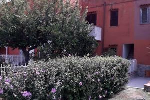 Appartamento San Nicola Arcella [487VRG]