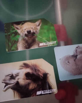 Schede Carte Telefoniche Animali per modo di dire