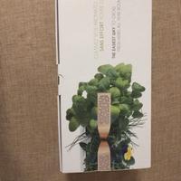 Véritable SMART Garden - Orto da interno