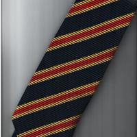 Set di 3 cravatte: Tessuto, Naj-Oleari e Charro