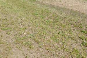 Terreno con rudere