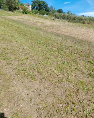 Terreno con rudere