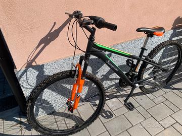 Mountain bike Sant’Agostino 26”