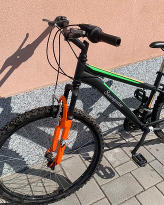 Mountain bike Sant’Agostino 26”