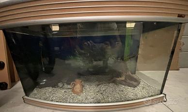 Acquario per pesci