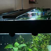 Acquario 432 litri