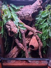 Terrario allestito 60x40
