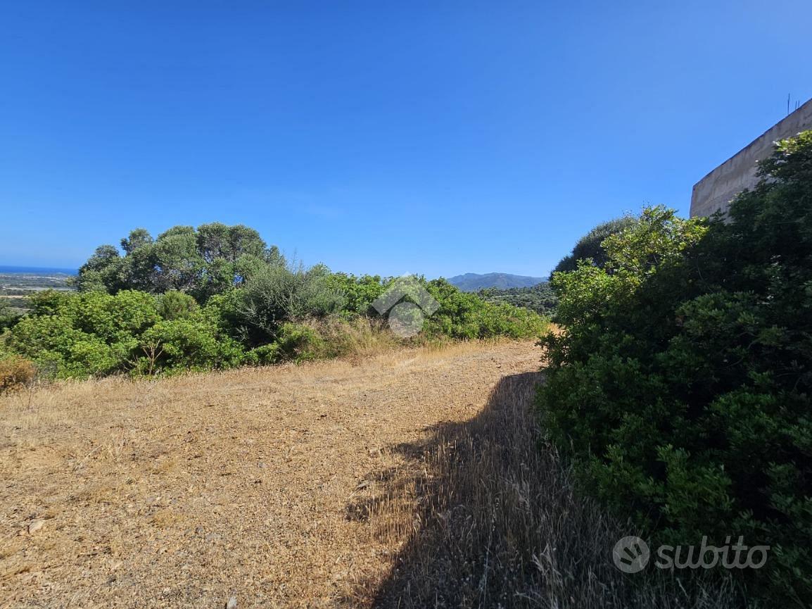 TER. AGRICOLO A VILLA SAN PIETRO - Vista 4