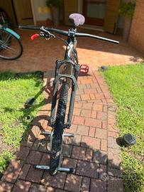 Mtb specialized in carbonio