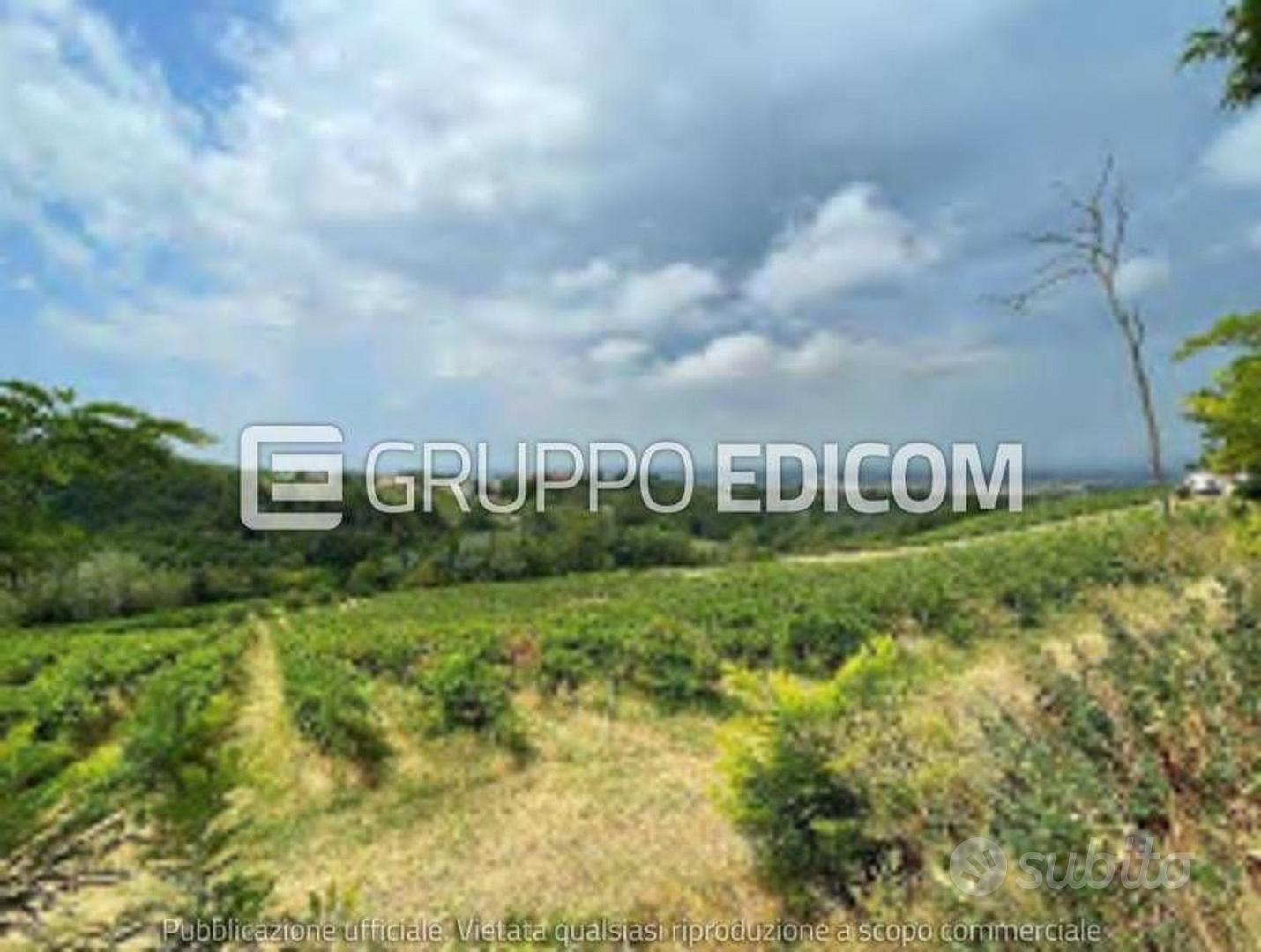 Terreno, Codevilla. - Vista 5