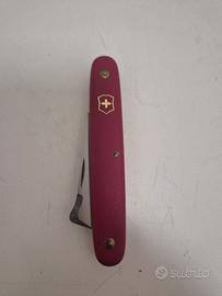 Victorinox Innesto 
