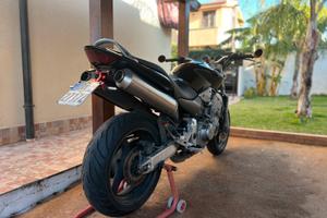 Hornet 900