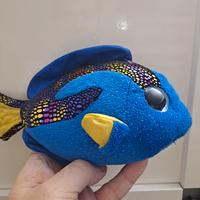 TY Beanie Boo PESCE "AQUA" - Occhi Scintillanti 