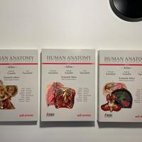 Human Anatomy Atlas
