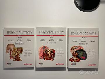 Human Anatomy Atlas
