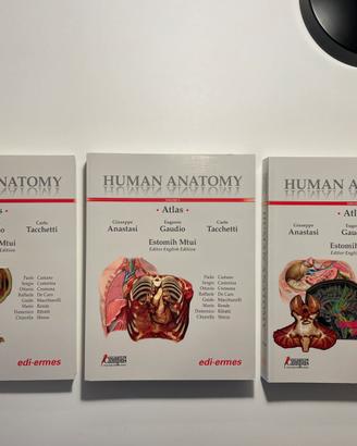 Human Anatomy Atlas